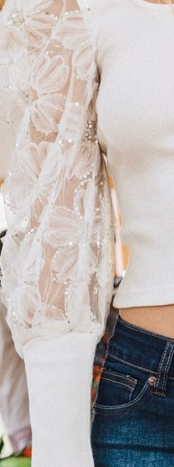 Bloom Embroidered Mesh Sleeve Knit Top