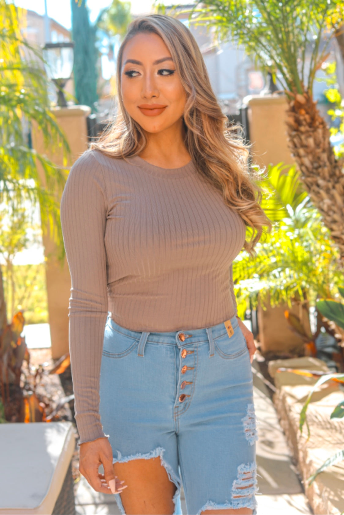 Keep it Simple Ribbed Semi Cropped Top